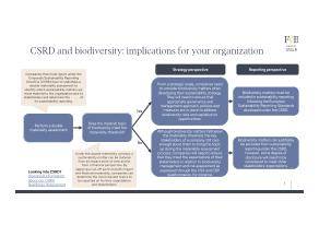 CSRD and biodiversity: implications for your organization